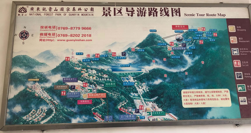 �V�|�^��ɽ����ɭ�ֹ��@��(d��o)�ΈD