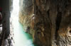 �𵶍{