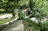 ������Ԣ