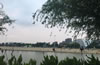 �G�T������
