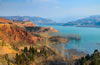 ���T�{������